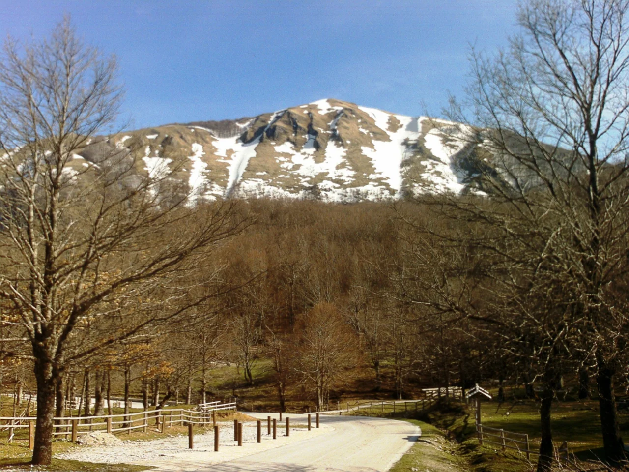 Parco Naturale / Giardino